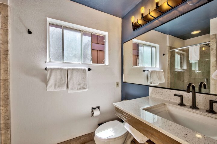 1 King Bed with View Bathtub Accessible (21 of 21)