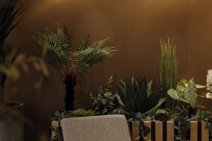 Modena Resort Spa &  Wellness Zlatibor in Zlatibor