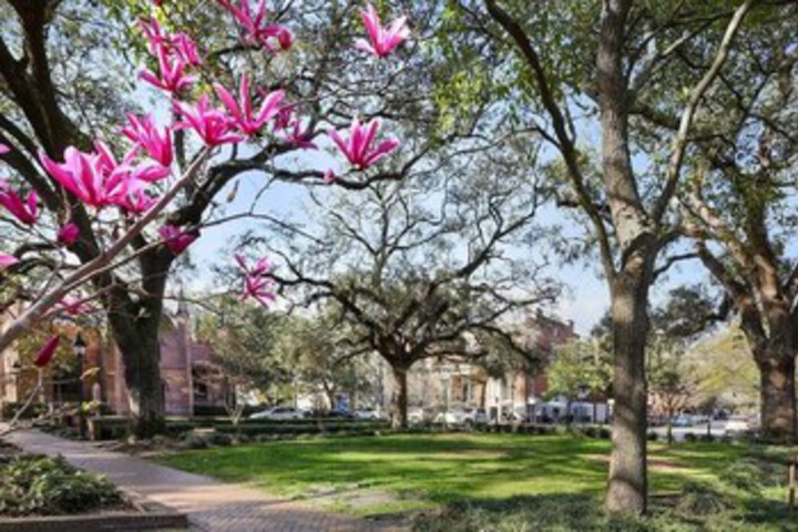 Property Grounds 18 of 30