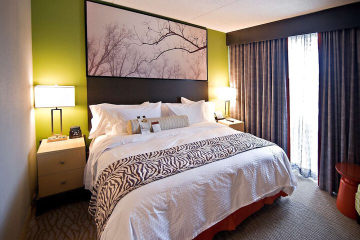 1 King 1 Bedroom Suite Mobility Accessible with Bathtub (8 of 11)