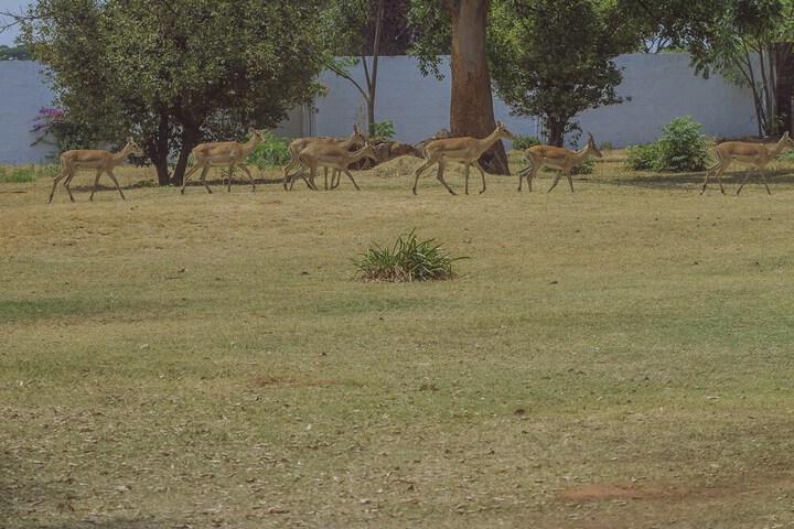 Property Grounds 6 of 8