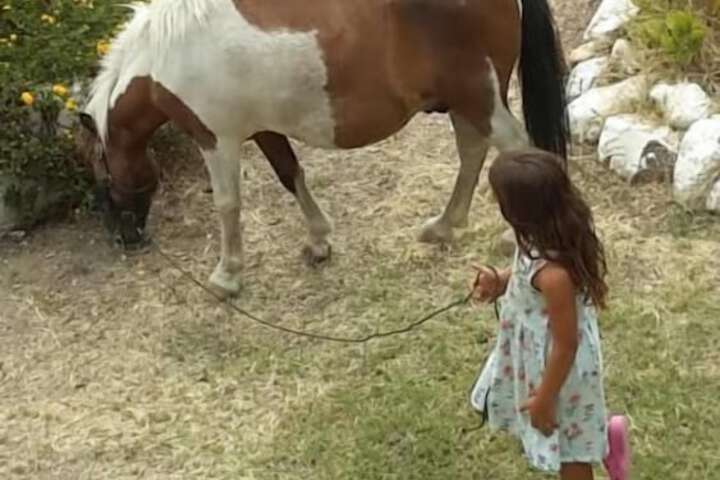 Children's activities