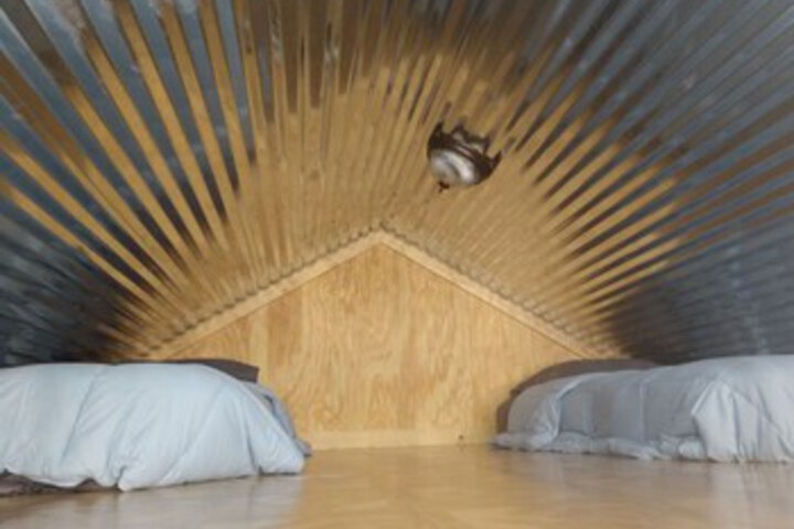 Room 9 of 38