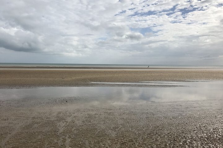 Beach 85 of 101