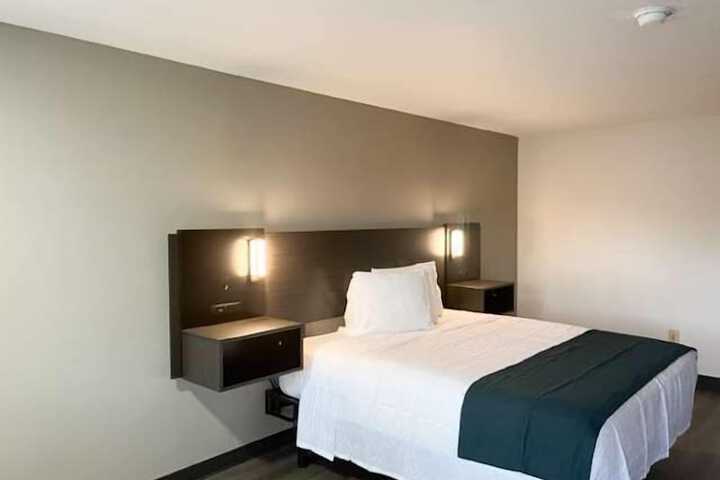 1 King Bed (8 of 14)