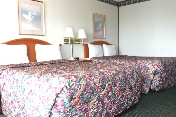 Room 6 of 54