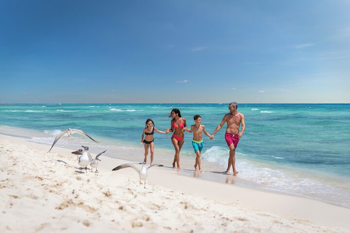 Beach 135 of 165