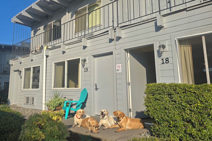 Pet Friendly 102 of 145