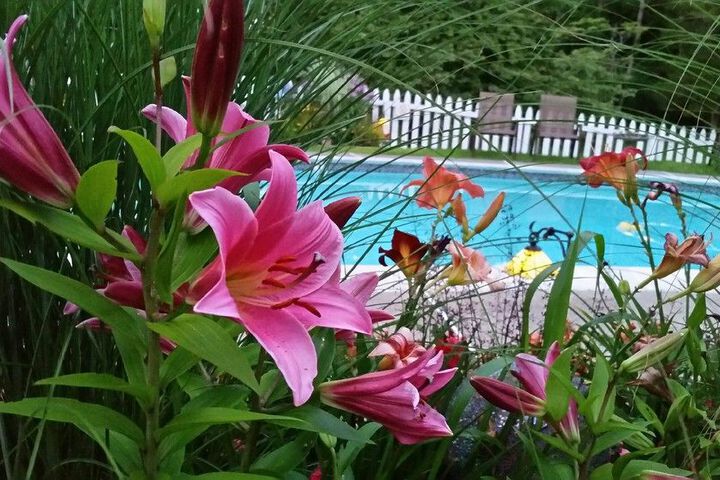 Property Grounds 46 of 48