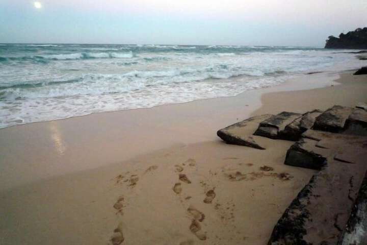 Beach 61 of 89