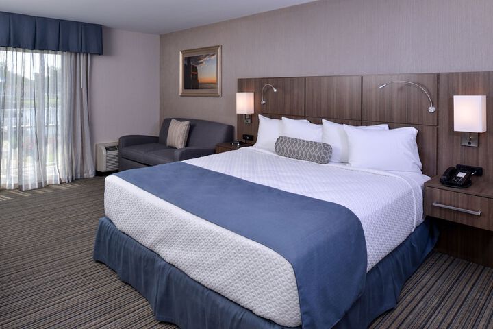 1 King Bed (14 of 17)