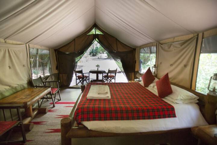 Room 5 of 20