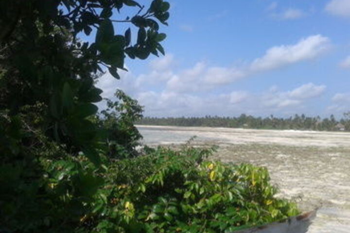 Beach 8 of 63