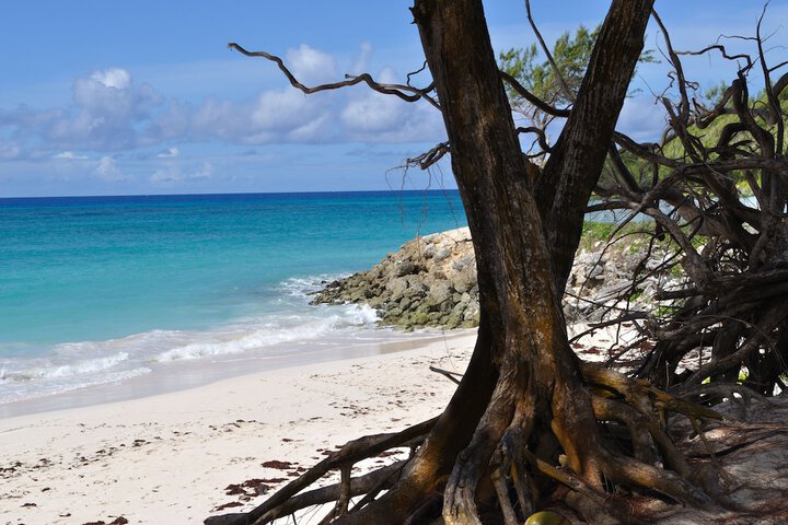 Beach 26 of 38