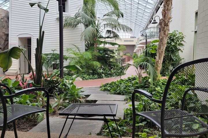 2 Queen Beds West Wing Patio Atrium View Microwave, Refrigerator WiFi (22 of 32)