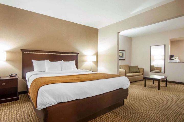 1 King Bed Suite (3 of 15)