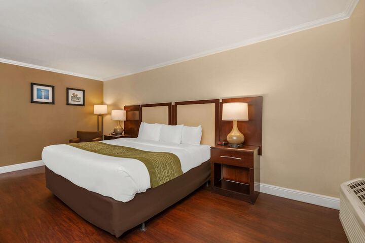Standard King Bed City View (11 of 11)