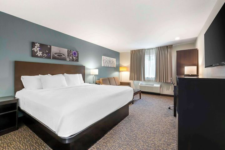 1 King Bed Suite (4 of 10)