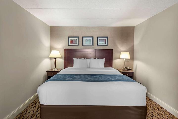 1 King Bed (5 of 10)