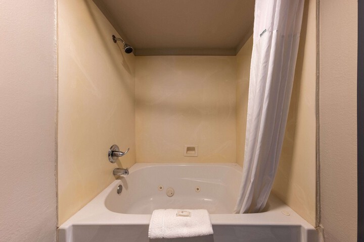 1 King Bed Accessible (12 of 17)