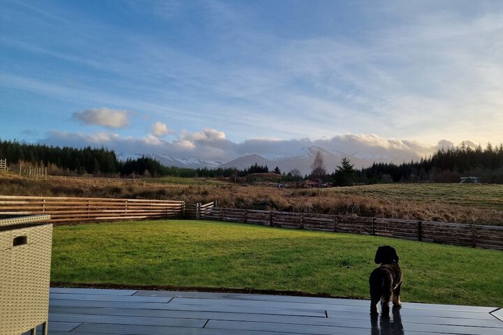 Property Grounds 22 of 48
