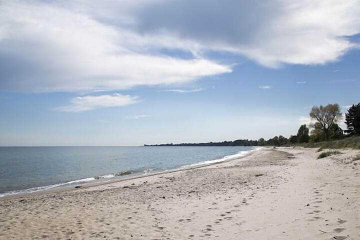 Beach 42 of 45