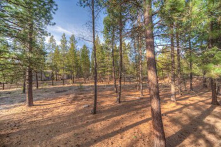 Property Grounds 17 of 21