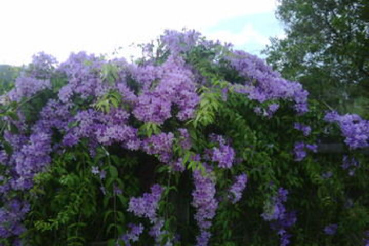 Property Grounds 27 of 30