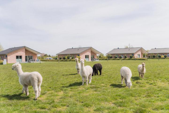 Büdlfarm - Der Familien-Erlebnishof in Strandnähe