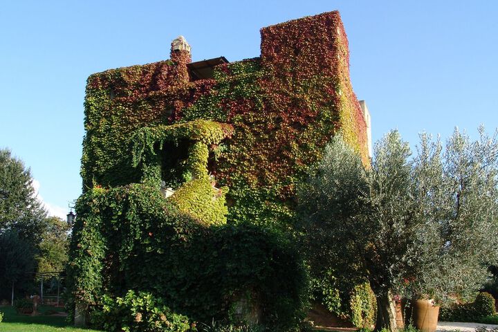 Hotel 36 of 47