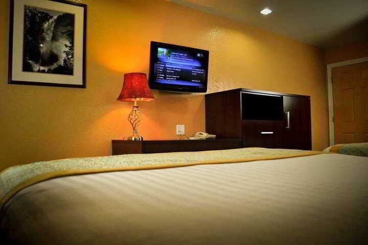 1 King Bed