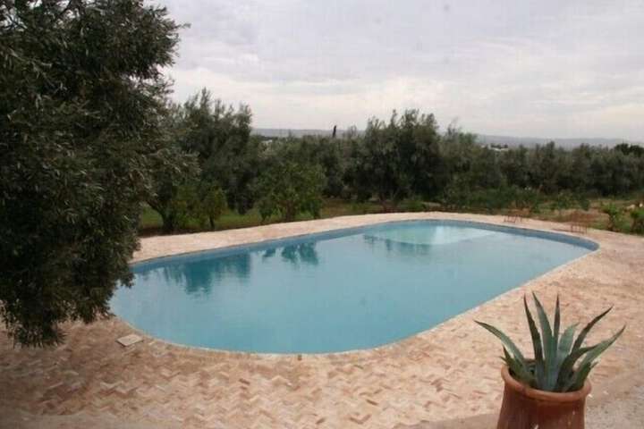 Hotel Pool