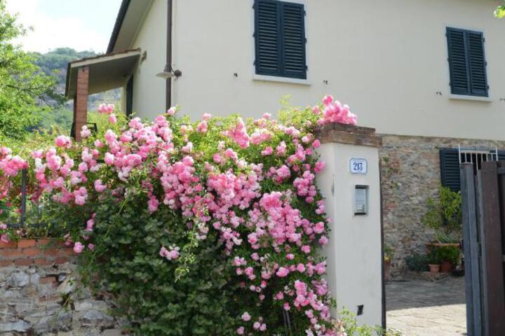 Casa1