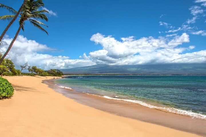 Hono Kai # A5 1 Bathroom Condo in Wailuku, HI