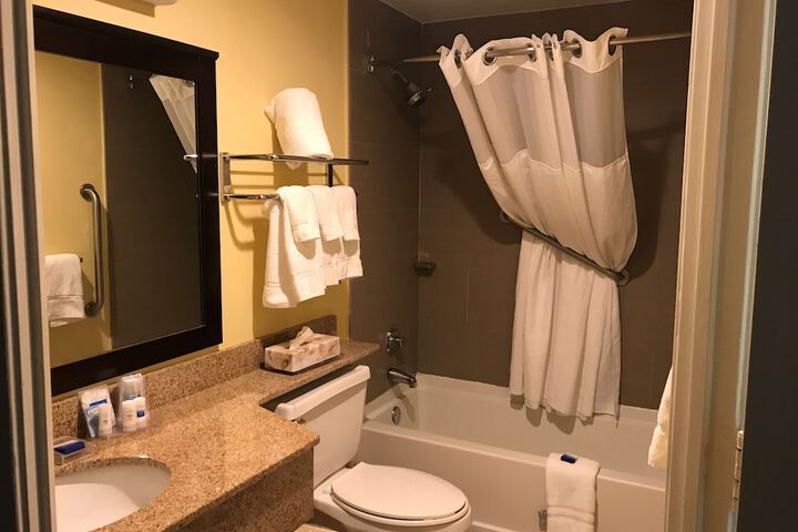 Suite 1 King Bed Mobility Accessible Roll in Shower Sofa Bed Full Breakfast (3 of 23)