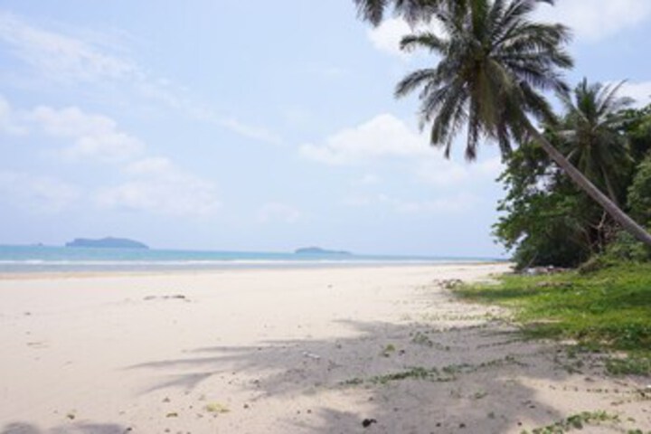 Beach 15 of 45