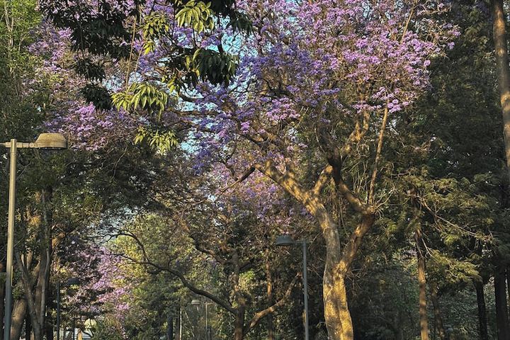 Fiesta Americana Reforma in Mexico City