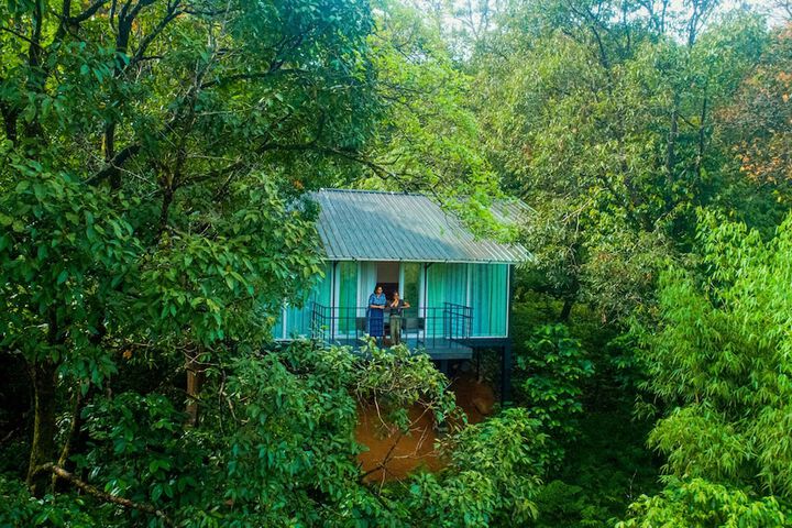 Wayanad Wild Rainforest lodge by CGH Earth