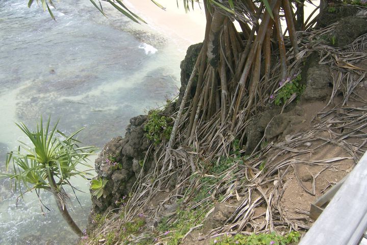 Beach 17 of 55