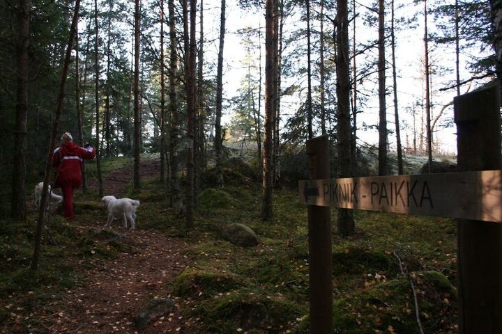 Outdoor Activities 58 of 76