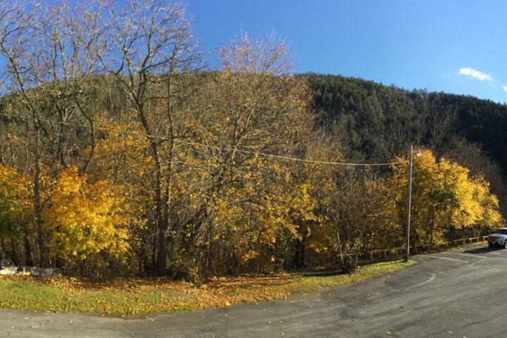 Property Grounds 25 of 30