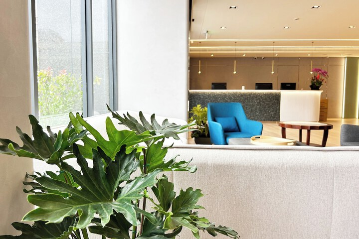 Lobby Entry