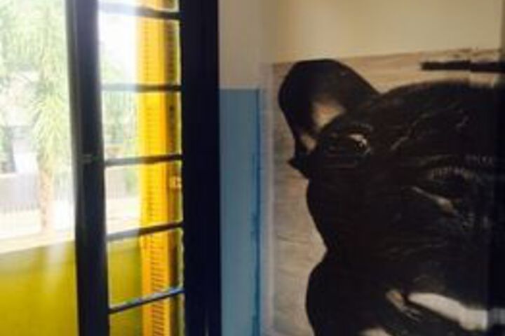 Room 2 of 32