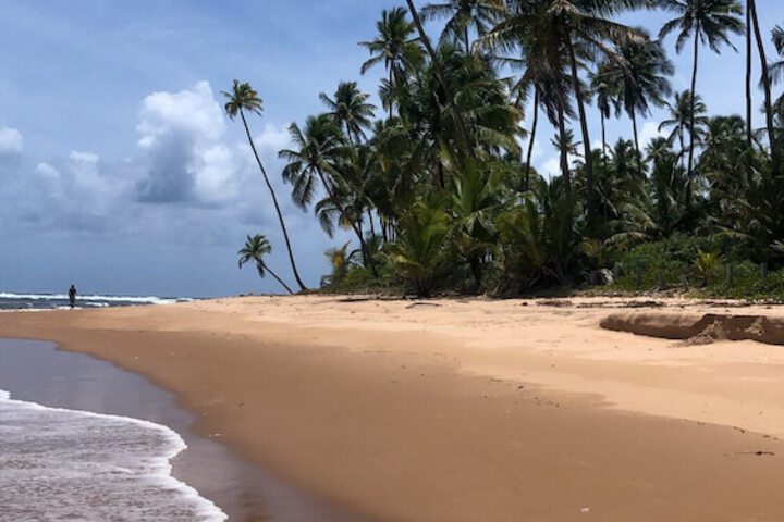 Beach 57 of 82