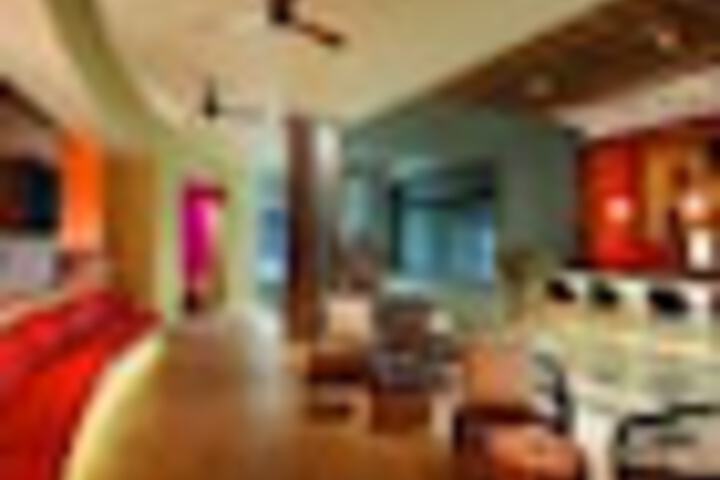 Lounge 245 of 342