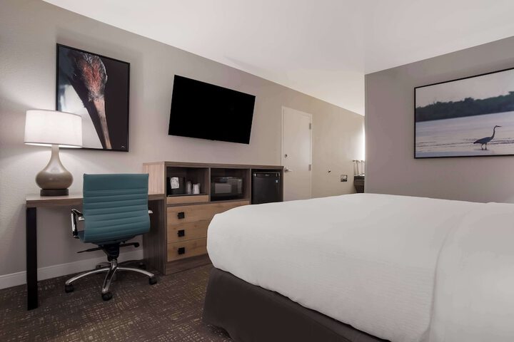 Room 10 of 24