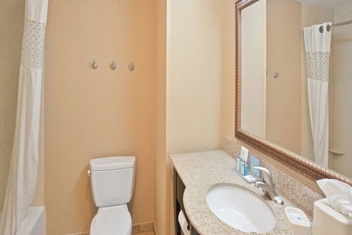 1 King Mobility Hearing Accessible with Tub (3 of 13)