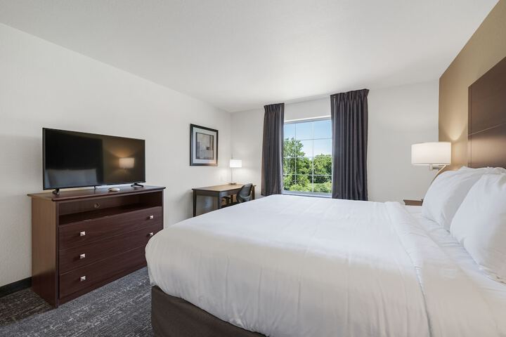 Guest Room Single King Bed Accessible (3 of 17)