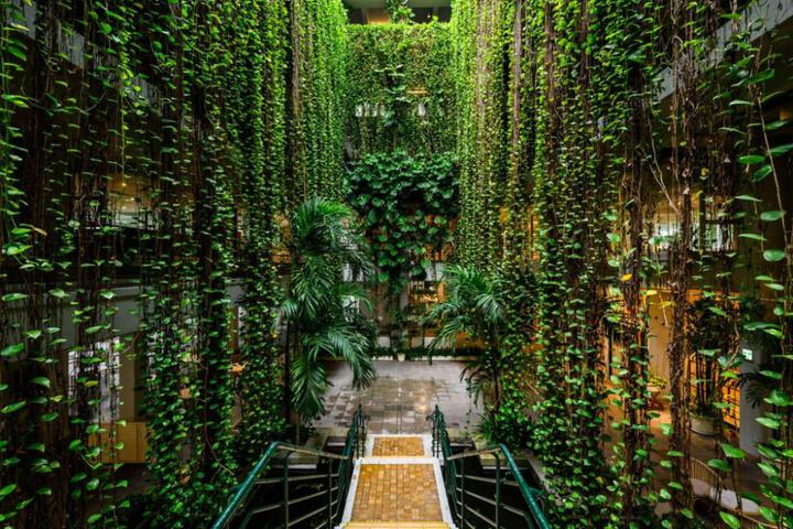 Photo 22