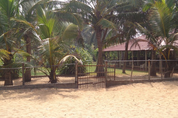 Beach 65 of 81